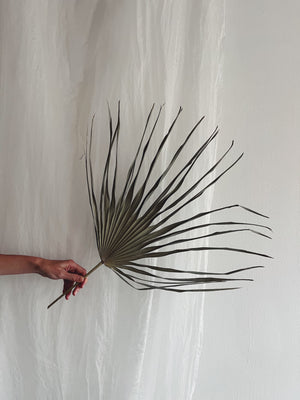 Flower Delivery Vancouver-Dried Fan Palm-Dried by the Stem-Florist-The Wild Bunch Flower Shop
