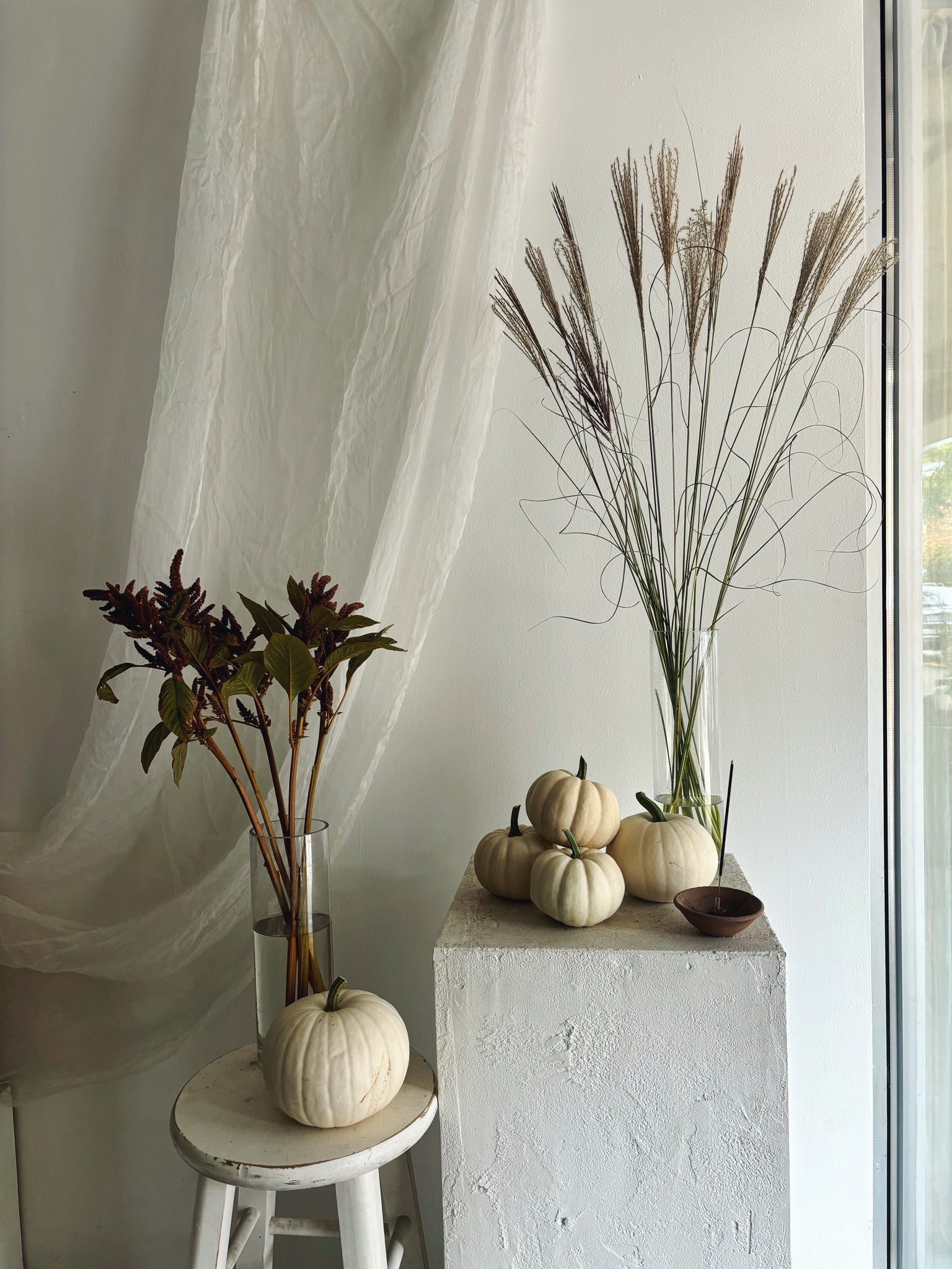 Flower Delivery Vancouver-Pumpkins-Plants-Florist-The Wild Bunch Flower Shop