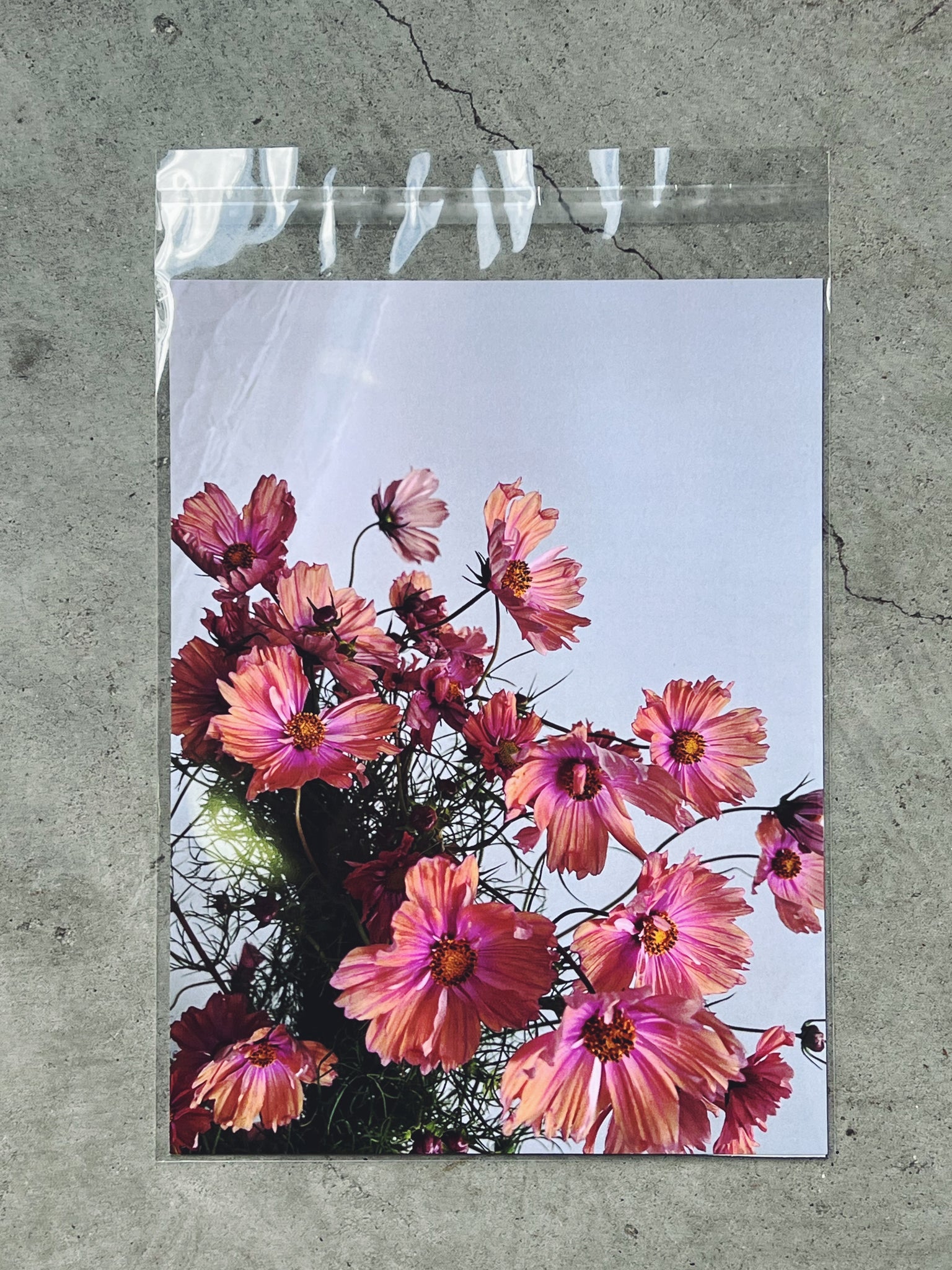 Flower Delivery Vancouver-Wild Bunch Floral Prints-Prints-Florist-The Wild Bunch Flower Shop