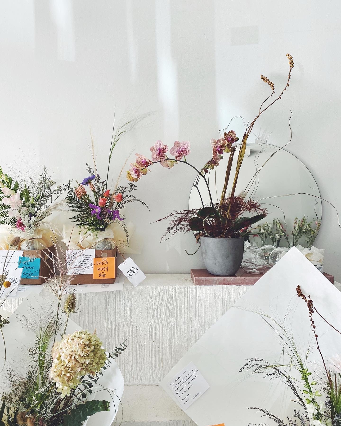 Flower Delivery Vancouver-Potted Phalaenopsis Orchid Plant-Plants-Florist-The Wild Bunch Flower Shop